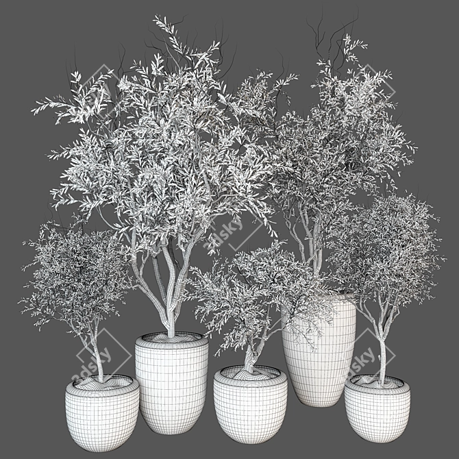 Luxury Indoor Plant 3D Model 3D model image 4