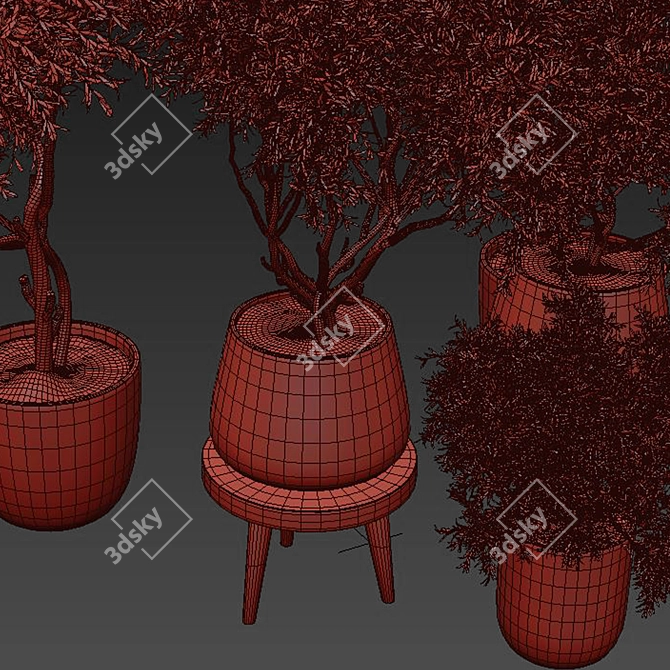 Elegant Indoor Plant 3D Model 3D model image 4