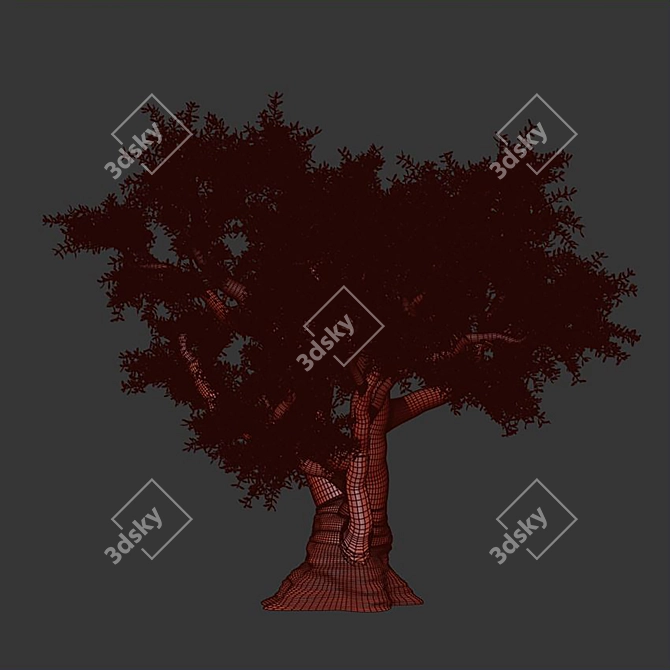 VRay Olive Tree 3D Model 3D model image 3