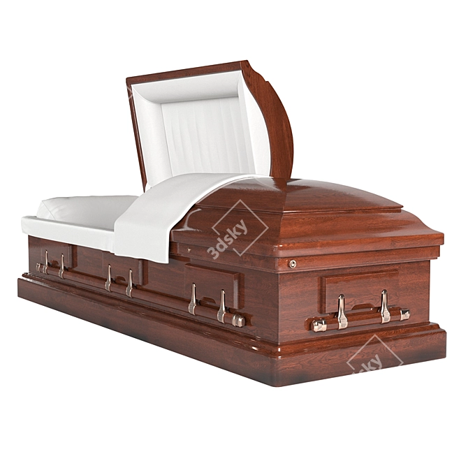 Outdoor Coffin: 2018 Edition 3D model image 2