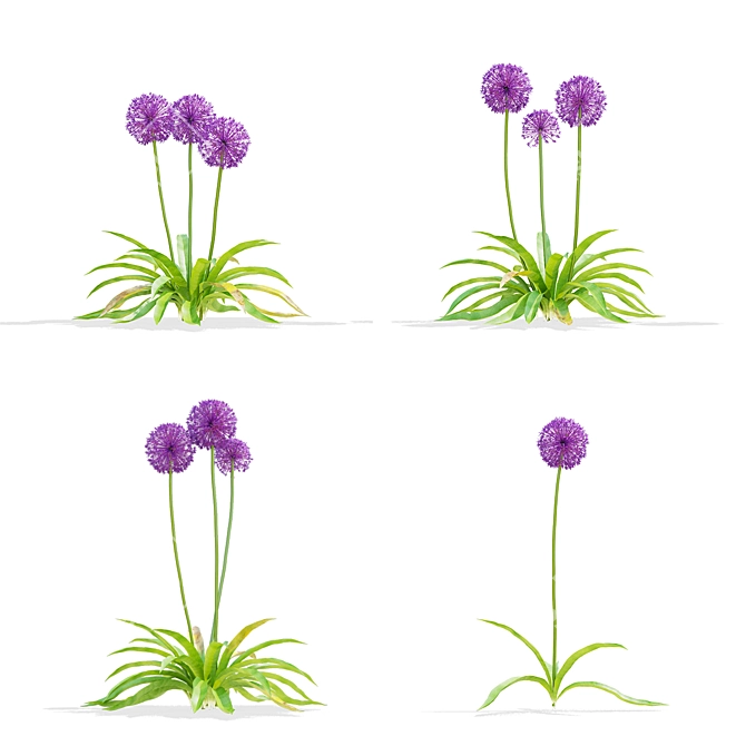 Decorative Onion Bundle Set 3D model image 3