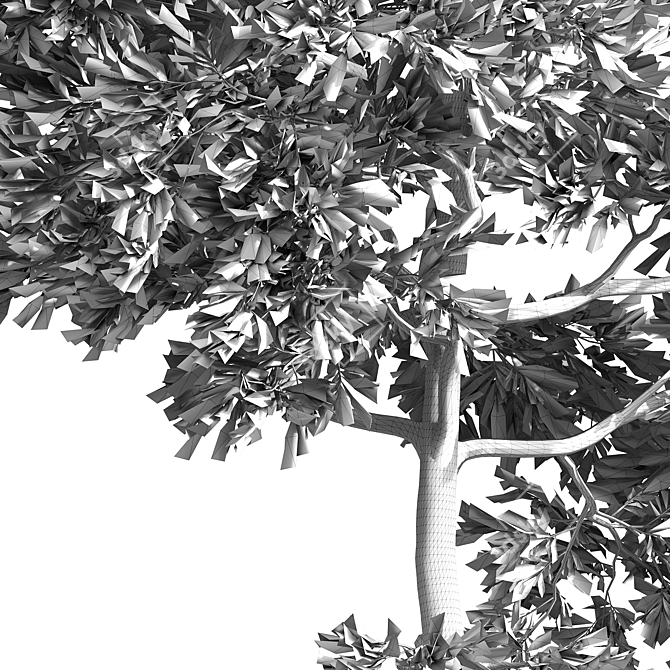 Corona Pine Tree Model 3D model image 2