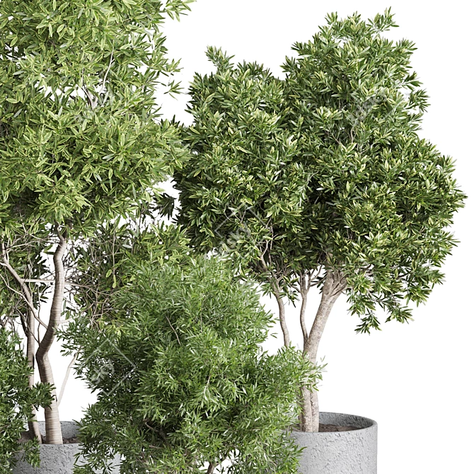 Greenery Set 144 Corona Pot 3D model image 3