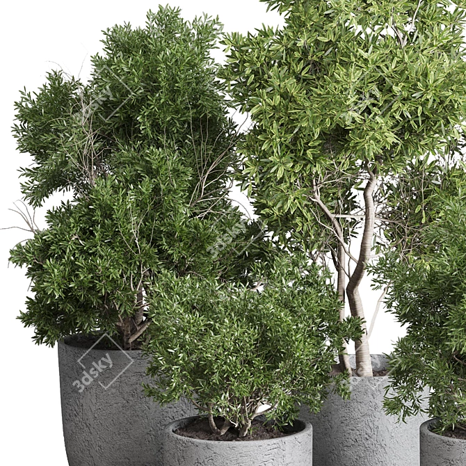 Greenery Set 144 Corona Pot 3D model image 4