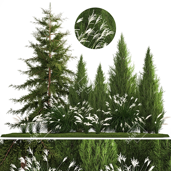  Urban Greenery Collection - Conifers & Grasses 3D model image 1