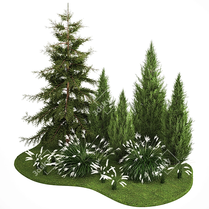  Urban Greenery Collection - Conifers & Grasses 3D model image 2