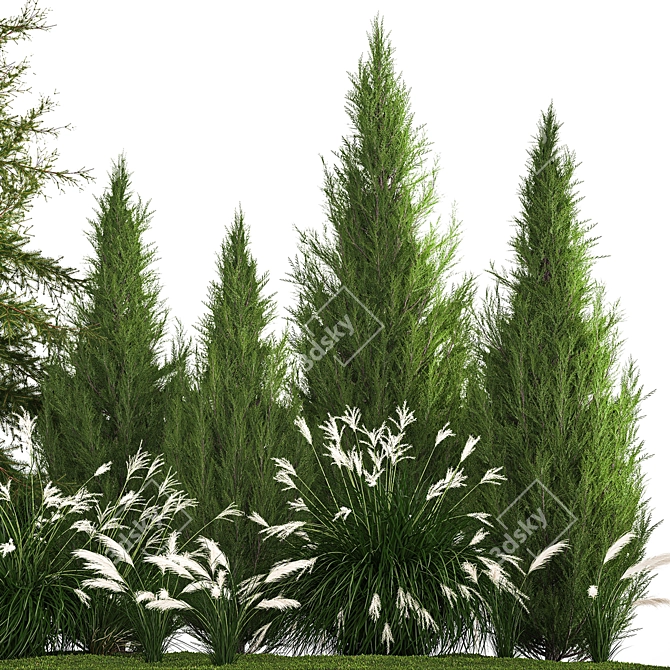  Urban Greenery Collection - Conifers & Grasses 3D model image 3