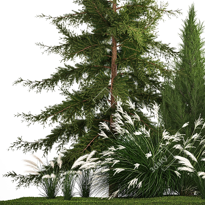  Urban Greenery Collection - Conifers & Grasses 3D model image 4