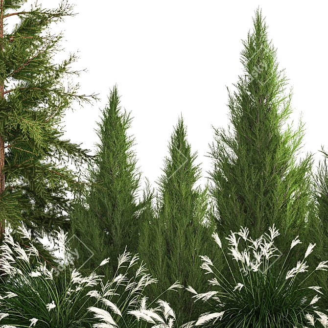  Urban Greenery Collection - Conifers & Grasses 3D model image 5