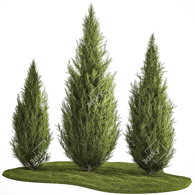 Cypress and Thuja Garden Set 3D model image 1