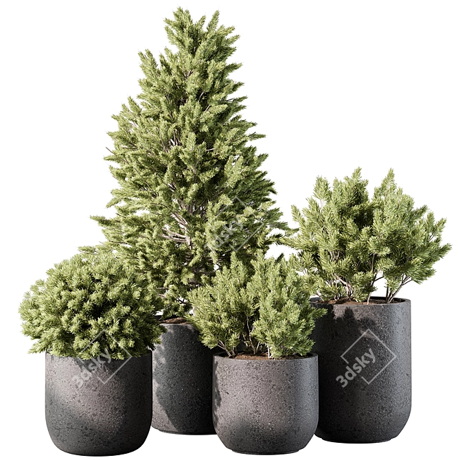 Pine Plants for Outdoor greenery 3D model image 1