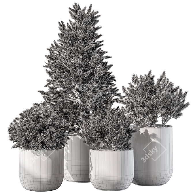 Pine Plants for Outdoor greenery 3D model image 6