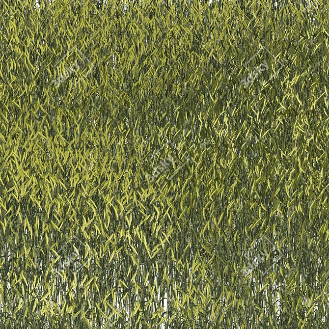 Lush Wheat Field 3D Model 3D model image 2