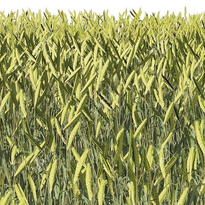 Lush Wheat Field 3D Model 3D model image 3