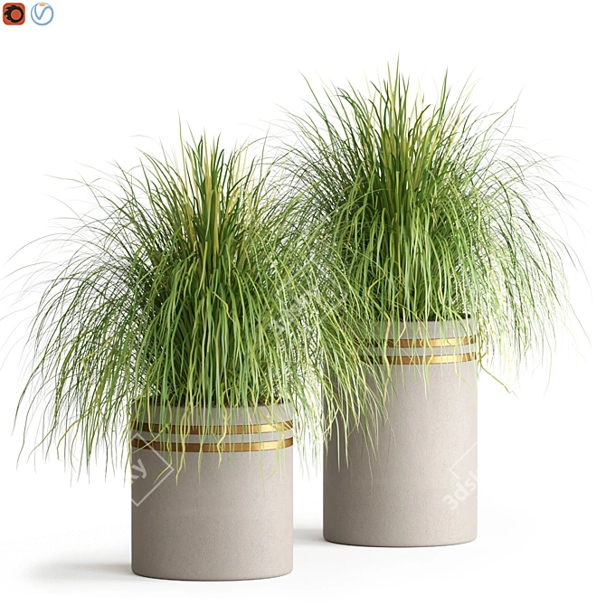 Customize Your Space With This Outdoor Plant 3D model image 1