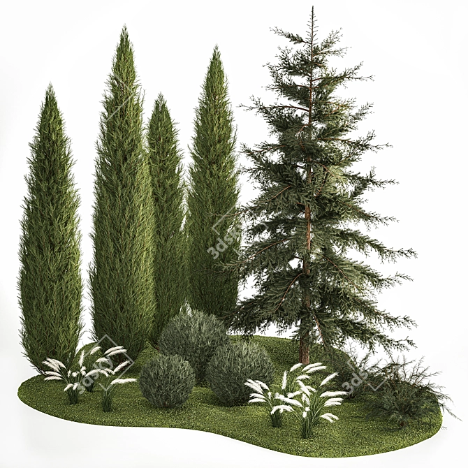 Coniferous Greenery Collection 3D model image 1