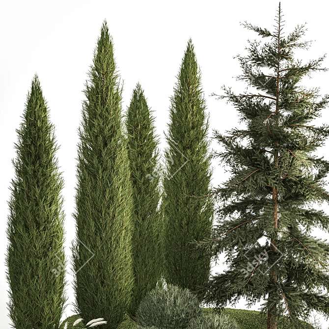 Coniferous Greenery Collection 3D model image 2