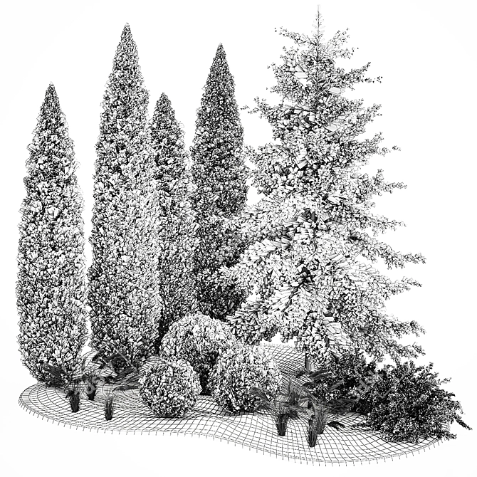 Coniferous Greenery Collection 3D model image 6