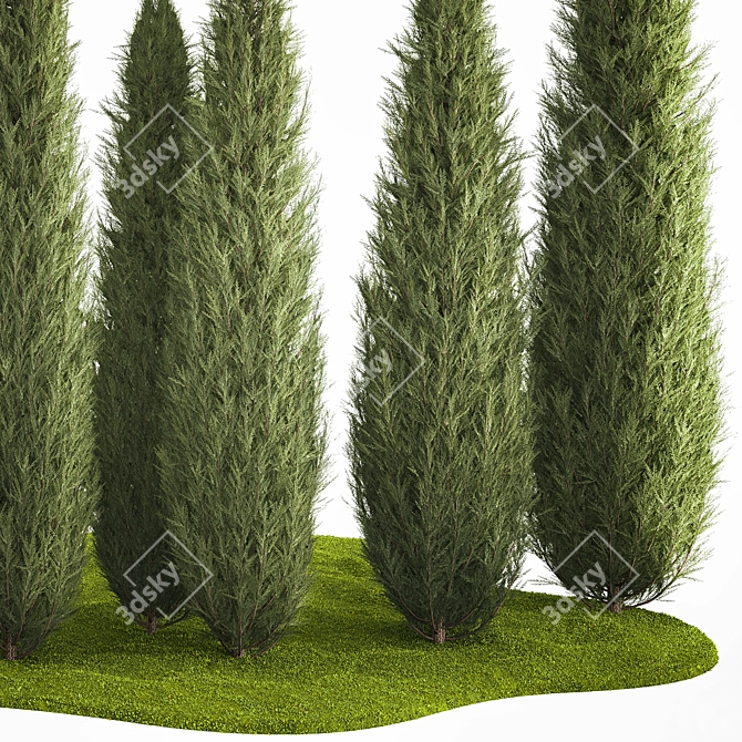 Coniferous Trees Set for Landscaping 3D model image 5