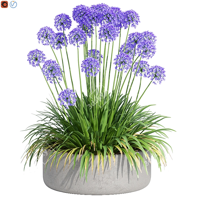 Agapanthus Design-Populating Plants 3D model image 1