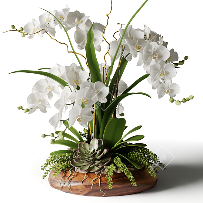 White Orchid in Wooden Planter 3D model image 2