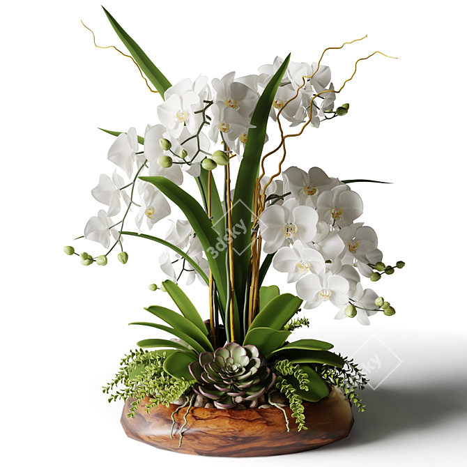 White Orchid in Wooden Planter 3D model image 3