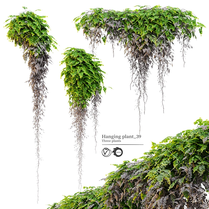 Triple Hanging Plant Set 3D model image 1