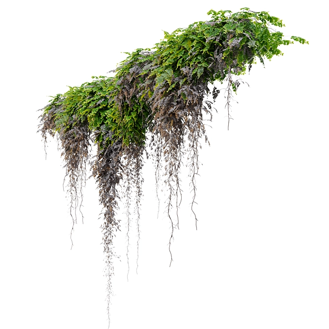 Triple Hanging Plant Set 3D model image 2