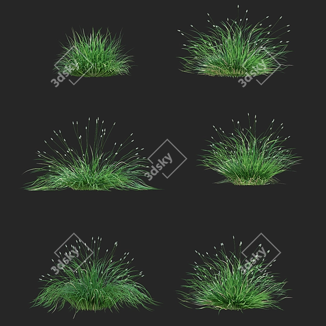 Glistening Decorative Grass Collection 3D model image 3