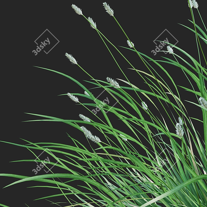 Glistening Decorative Grass Collection 3D model image 4