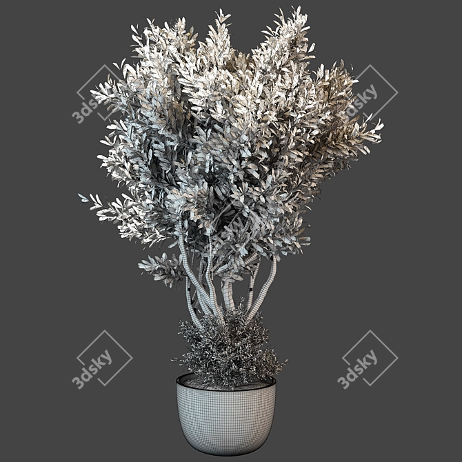 Modern Indoor Plant 3D Model 3D model image 2