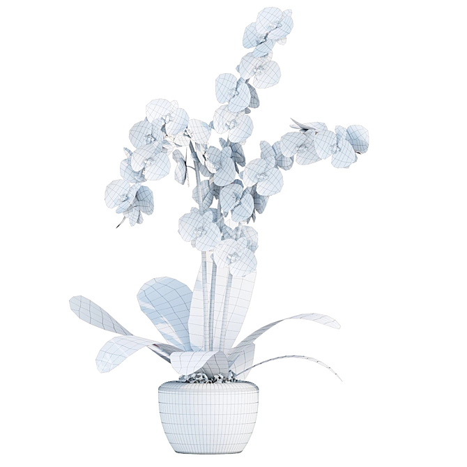 Realistic Orchid Flowers Model 3D model image 5