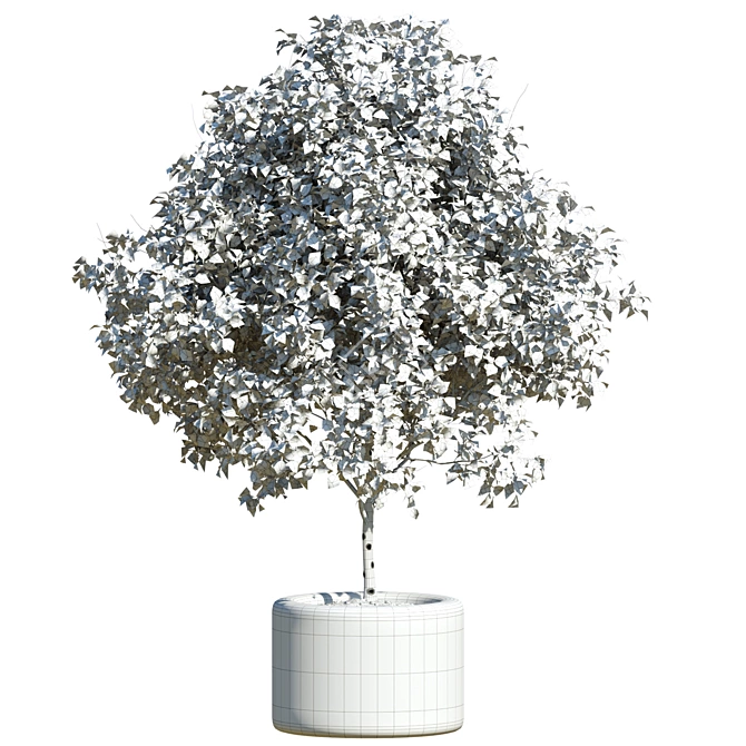 Field Maple Outdoor Tree 3D model image 2