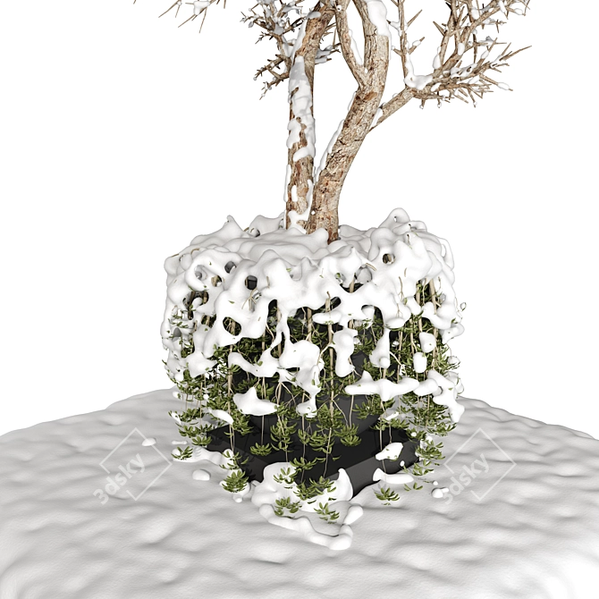 Outdoor Plants 2 Snow Decoration 3D model image 2