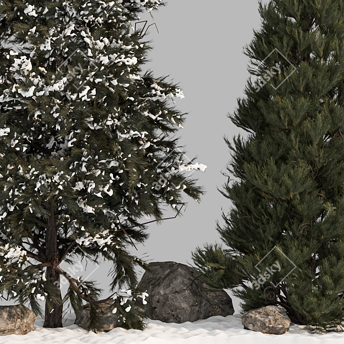 Premium Pine Tree 3D Model 3D model image 3