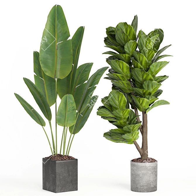 Modern Indoor Plant Collection Set 3D model image 3