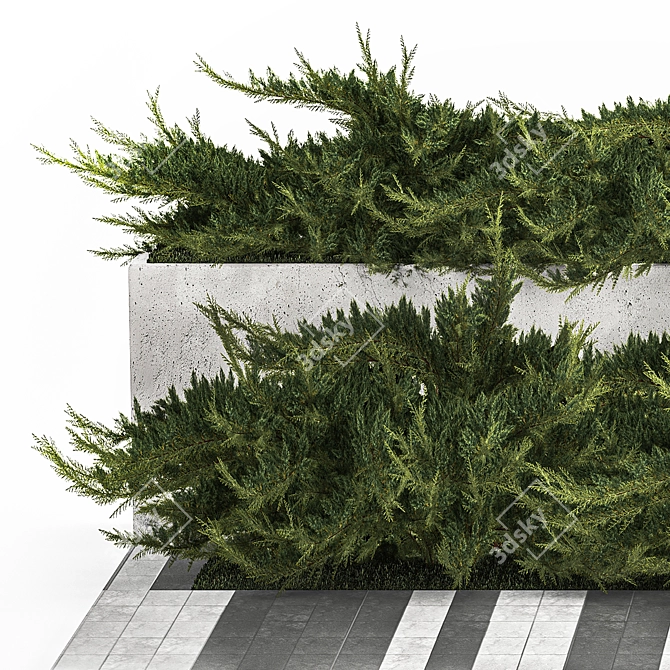 Urban Greenery Set with Concrete Bench 3D model image 3