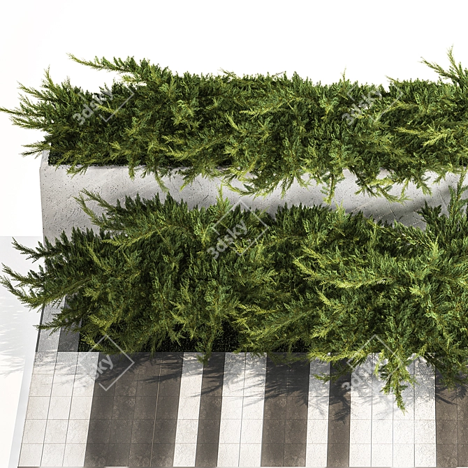 Urban Greenery Collection: Juniper & Cypress 3D model image 2