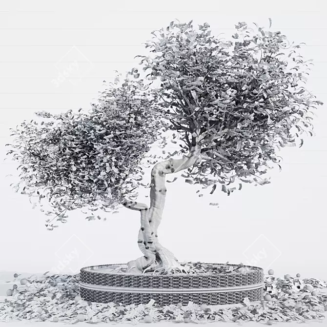 Miniature Bonsai Tree Set 3D model image 4