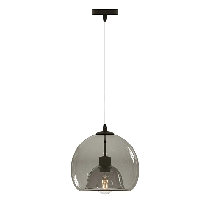 Dual Glass Ball Pendant Lights 3D model image 4