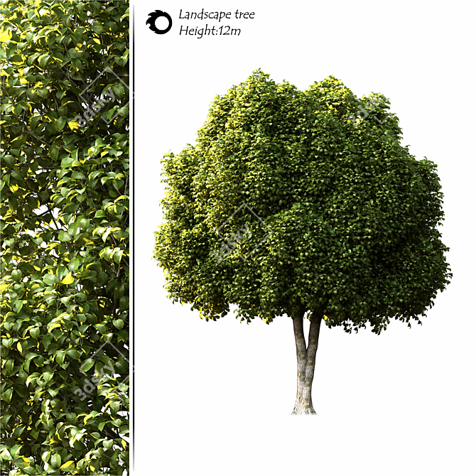 3D model tree for Corona 3D model image 1