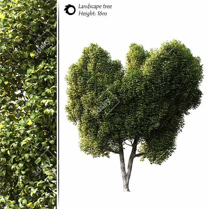 Grand 3D Tree Model Corona 3D model image 1