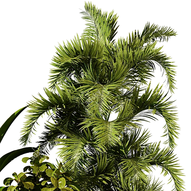 Modern Indoor Plant 223 Render 3D model image 3