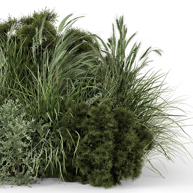 Outdoor Bush Collection - 3D Models 3D model image 1