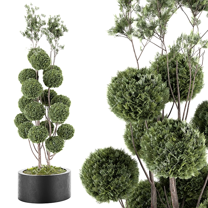 Elegant Indoor/Outdoor Decorative Tree 3D model image 1