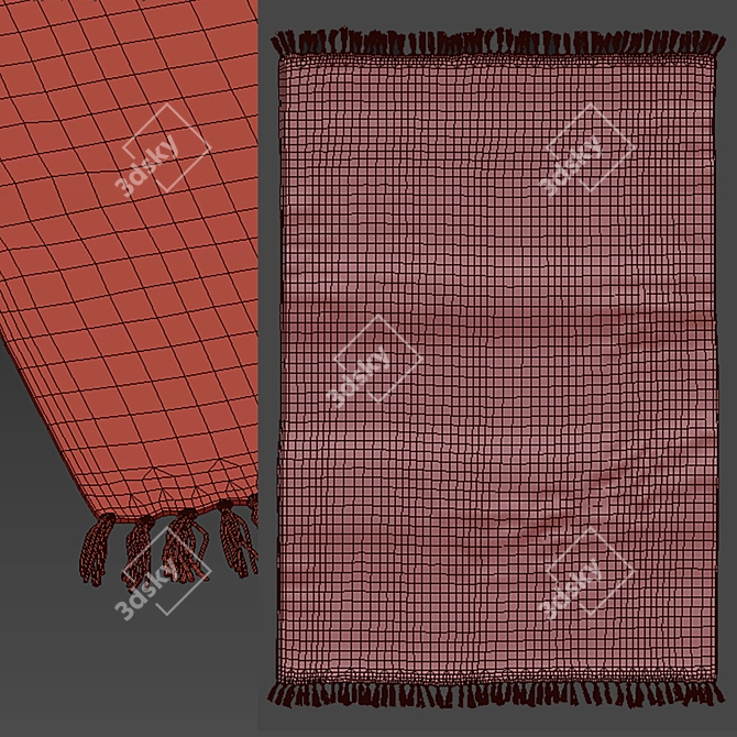 Triba Cotton Rug by La Redoute 3D model image 13