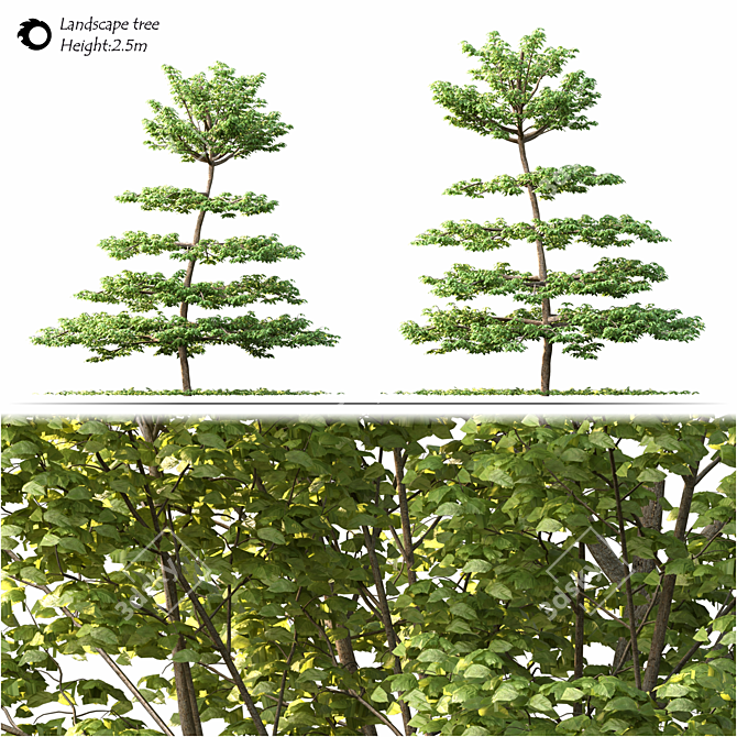 Model Tree 3D Asset Bundle 3D model image 2