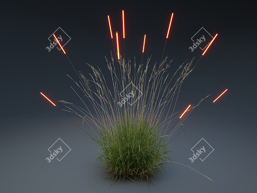 Glowing Calamagrostis_arundinacea 3D model image 1