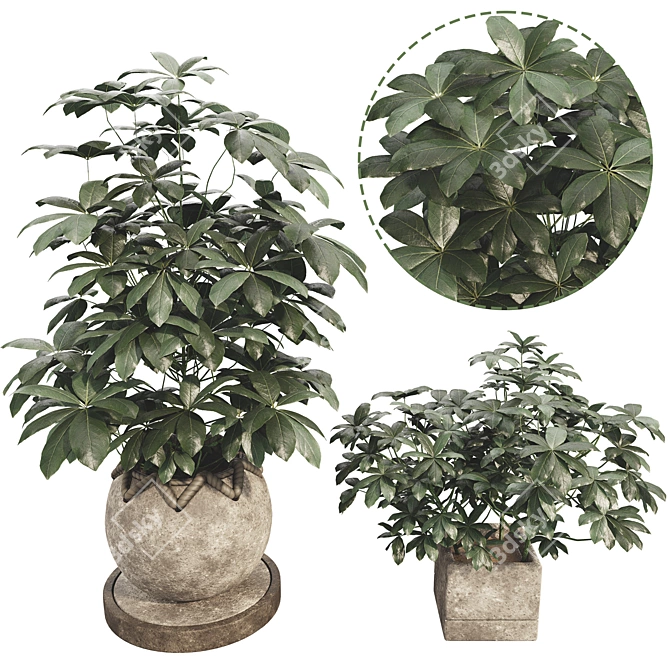 48-Piece Umbrella Tree Plant Collection 3D model image 1