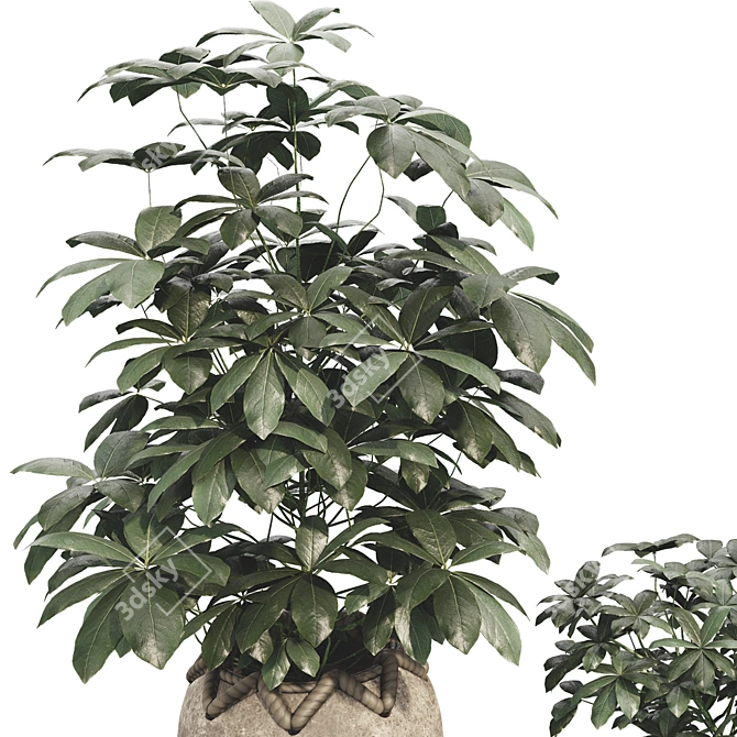 48-Piece Umbrella Tree Plant Collection 3D model image 3